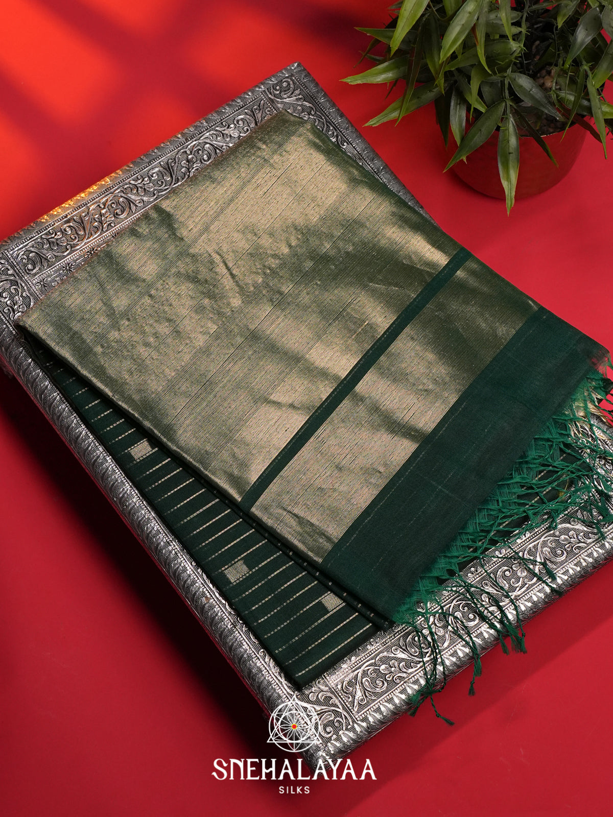 Green Kora Silk Cotton Saree