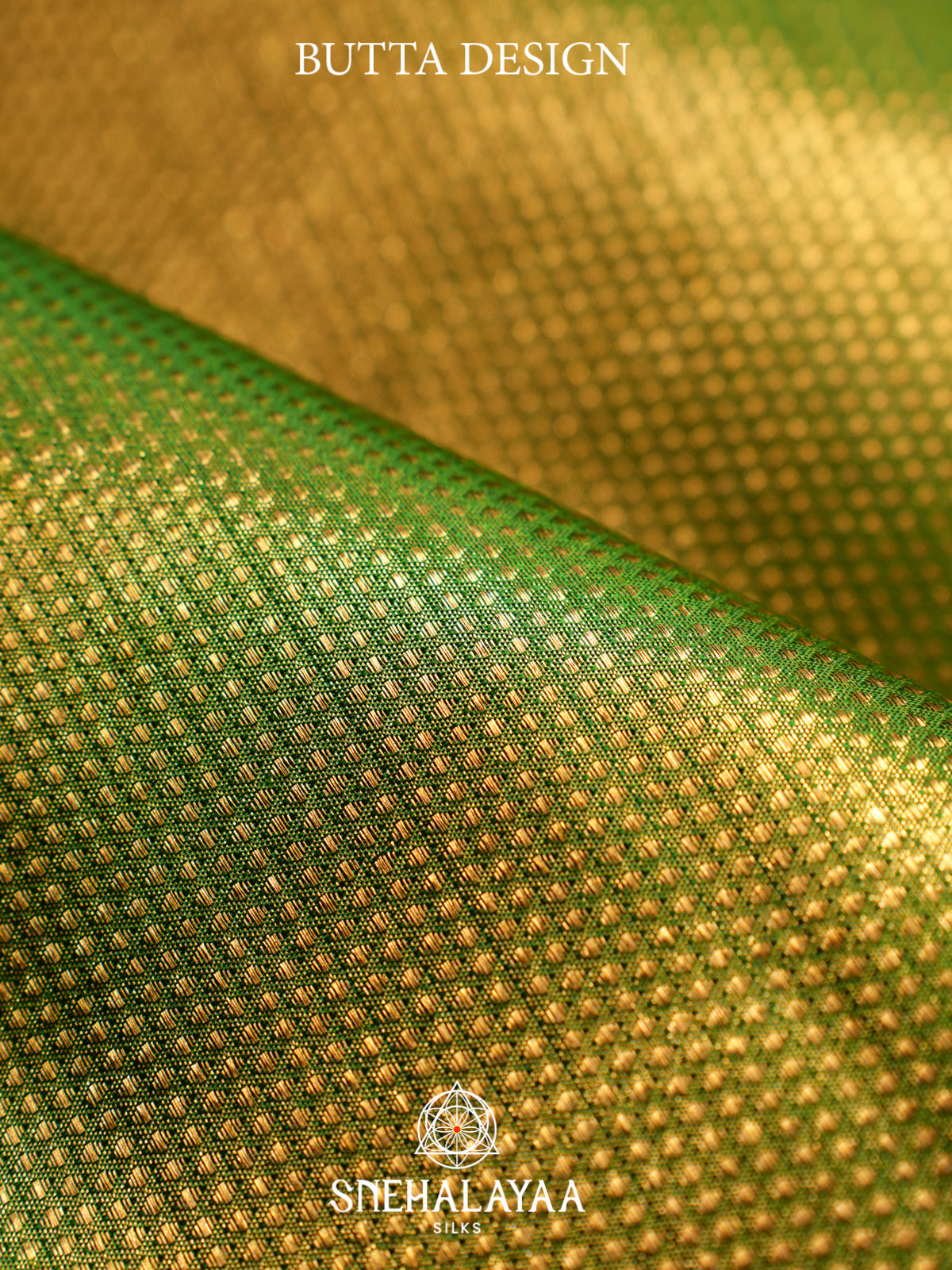 Parrot Green Kanjivaram Silk Saree