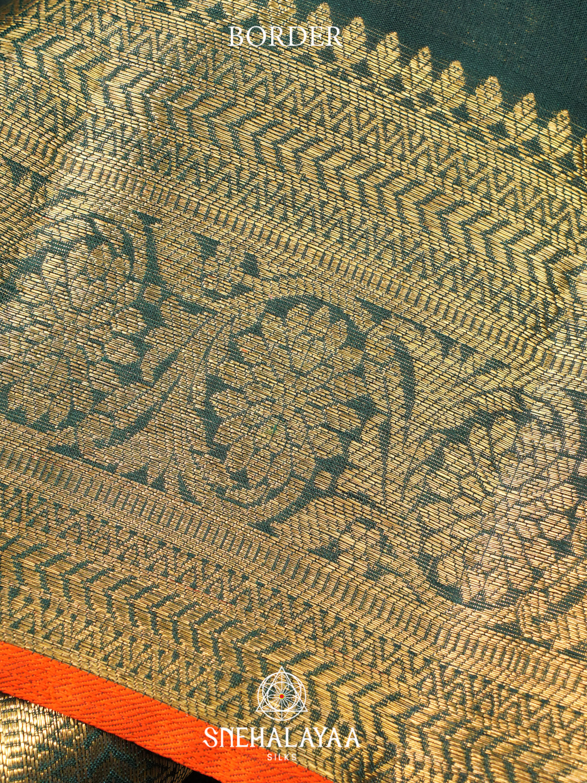 Forest Green Kanchi Kora Silk Saree with Zari Border