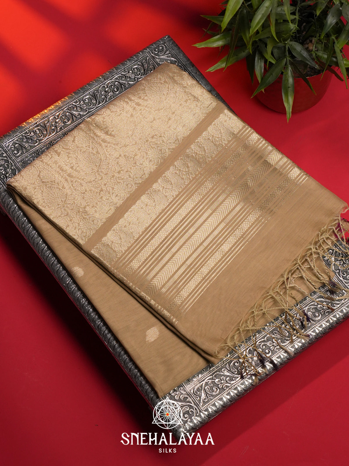 Beige Kora Silk Cotton Saree