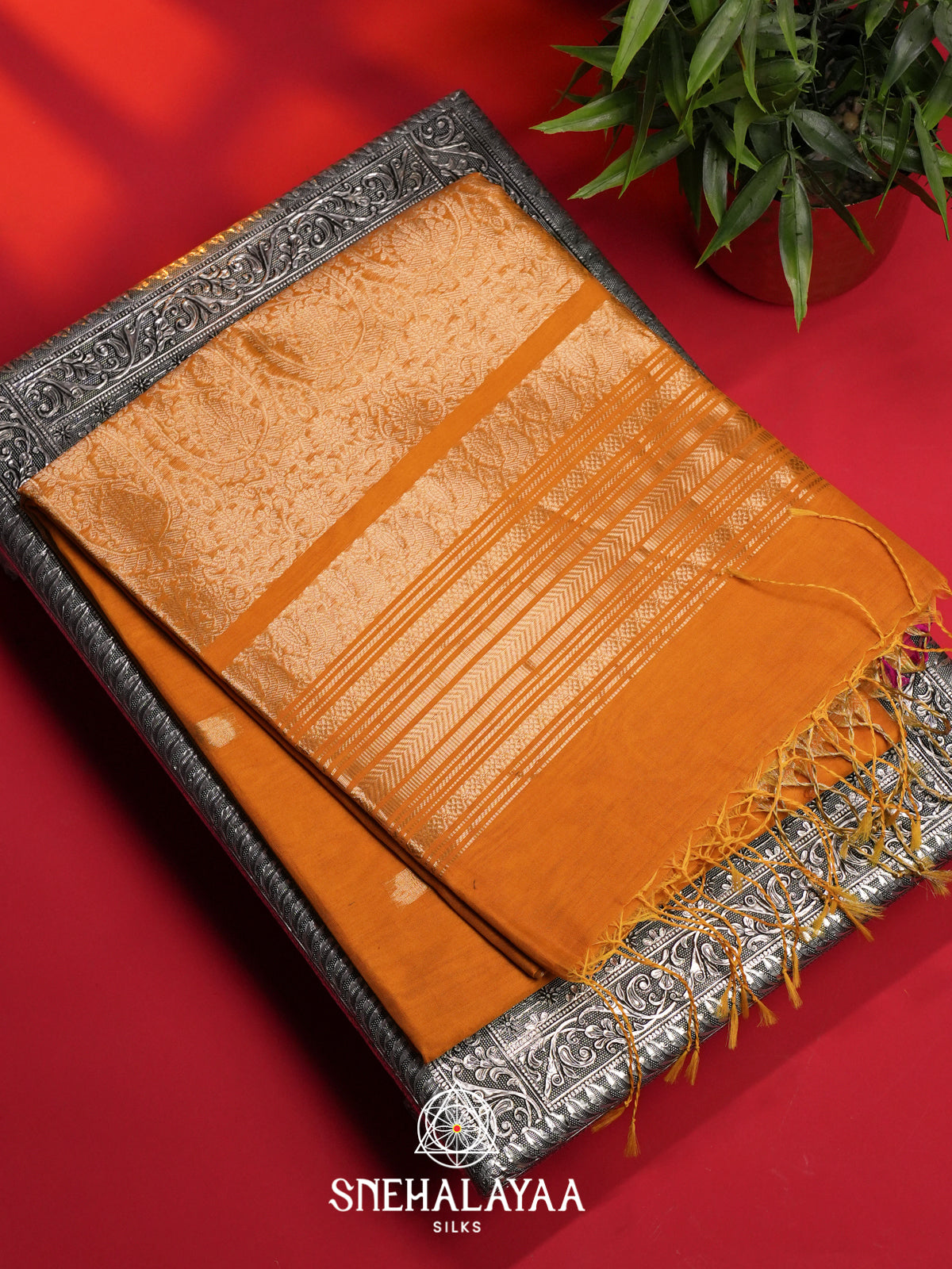 Mustard Kora Silk Cotton Saree