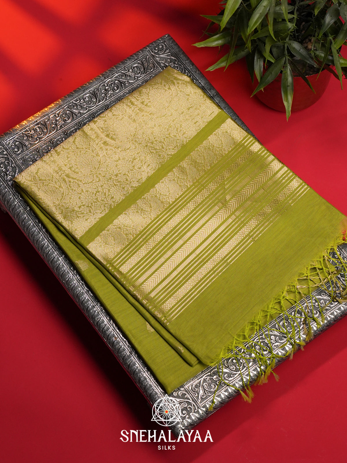Lime Green Kora Silk Cotton Saree