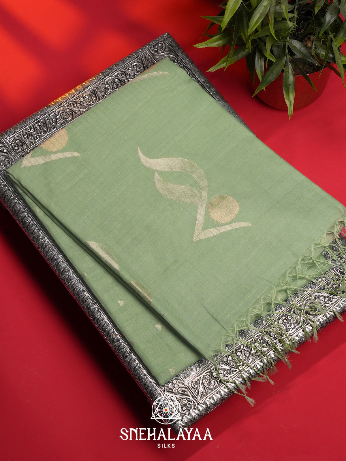 Mint Kora Silk Cotton Saree