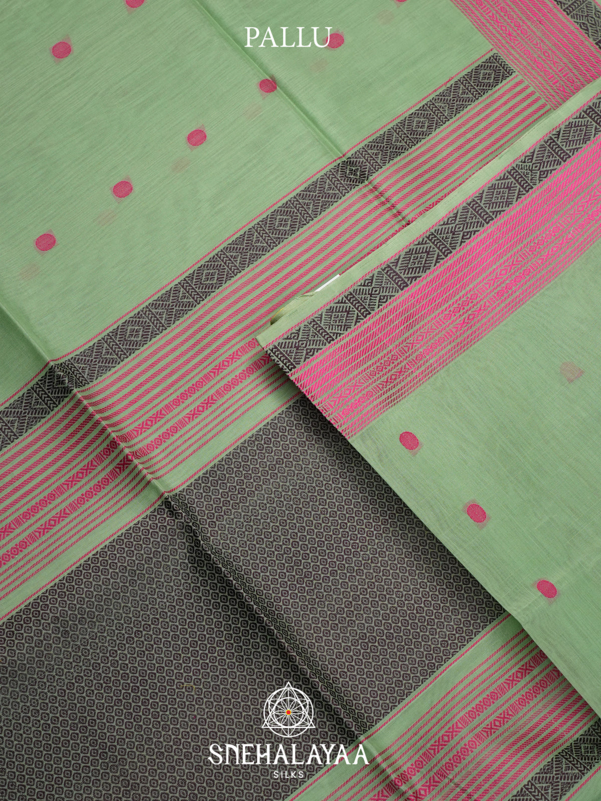 Mint Green Kora Silk Cotton Saree
