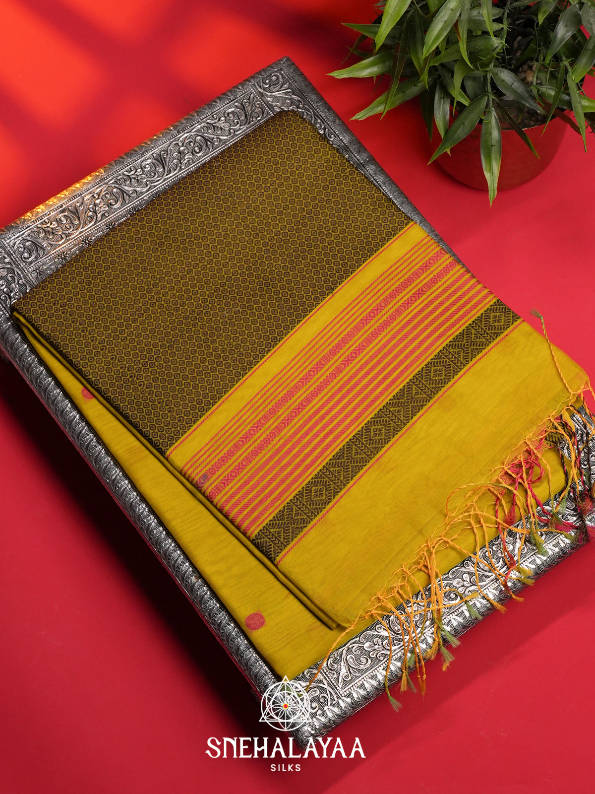Golden Yellow Kora Silk Cotton Saree