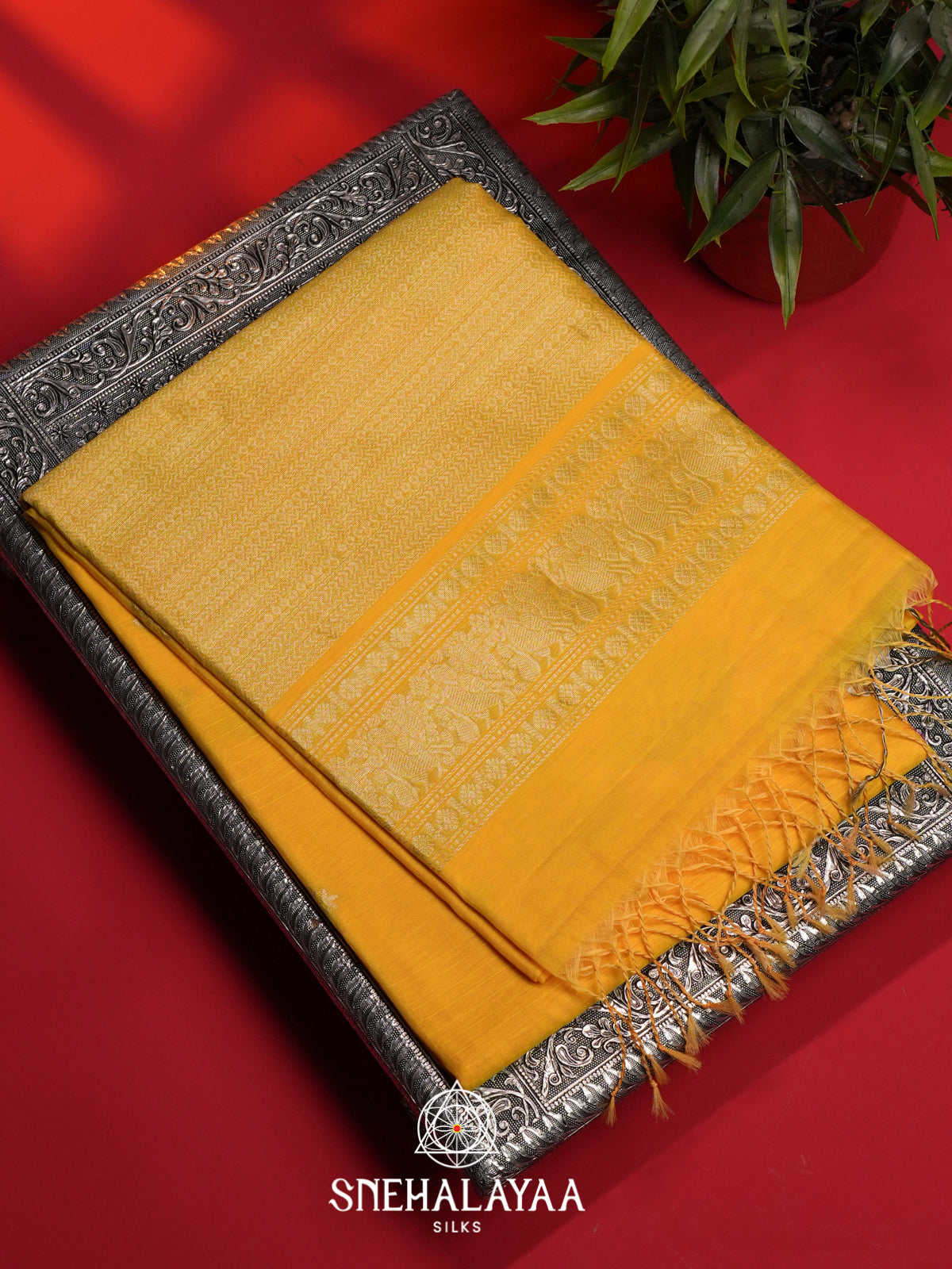 Yellow Kora Silk Cotton Saree