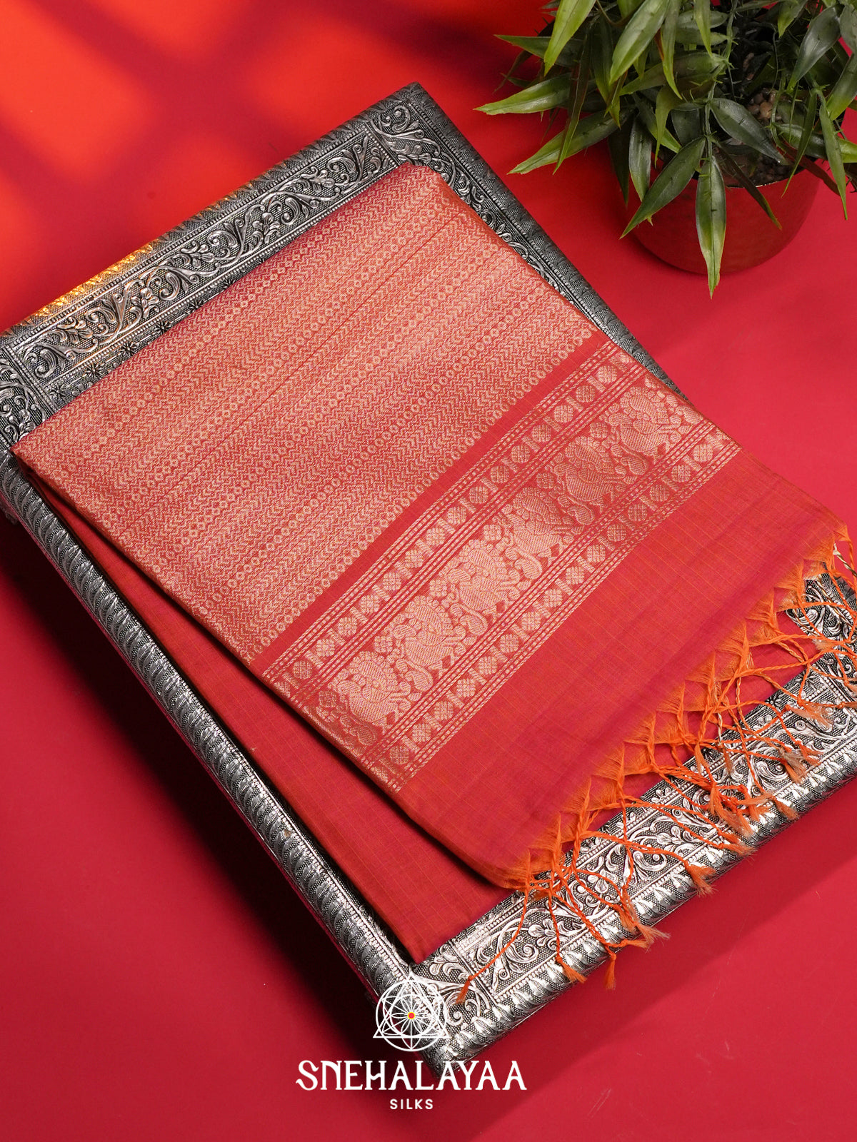Vermilion Red Kora Silk Cotton Saree