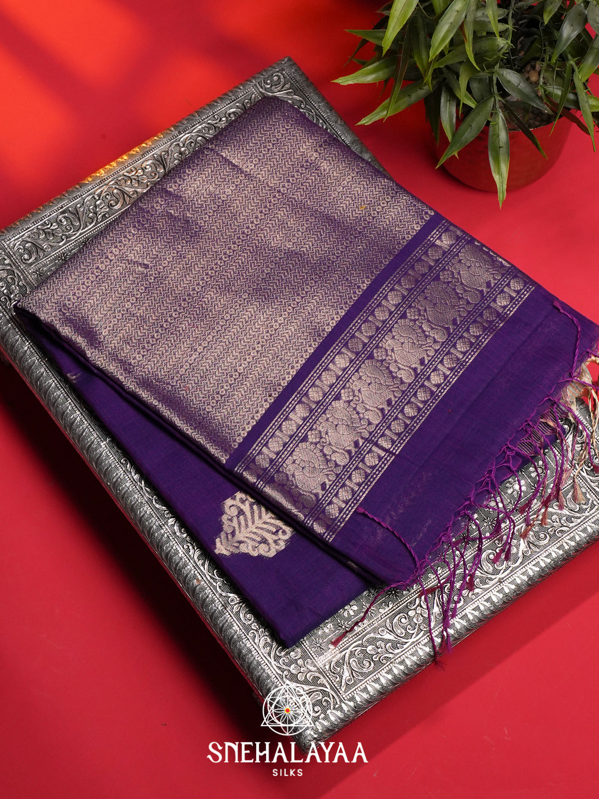Violet Kora Silk Cotton Saree