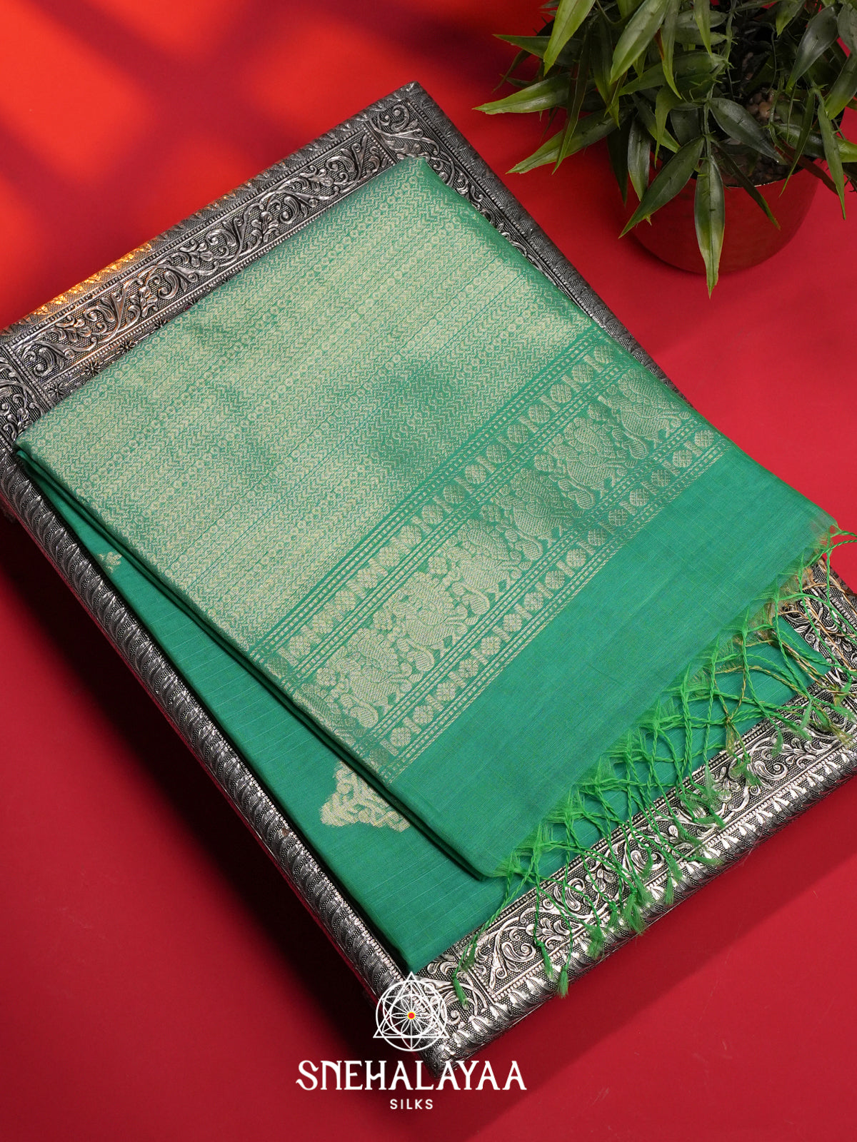 Turquoise Green Kora Silk Cotton Saree