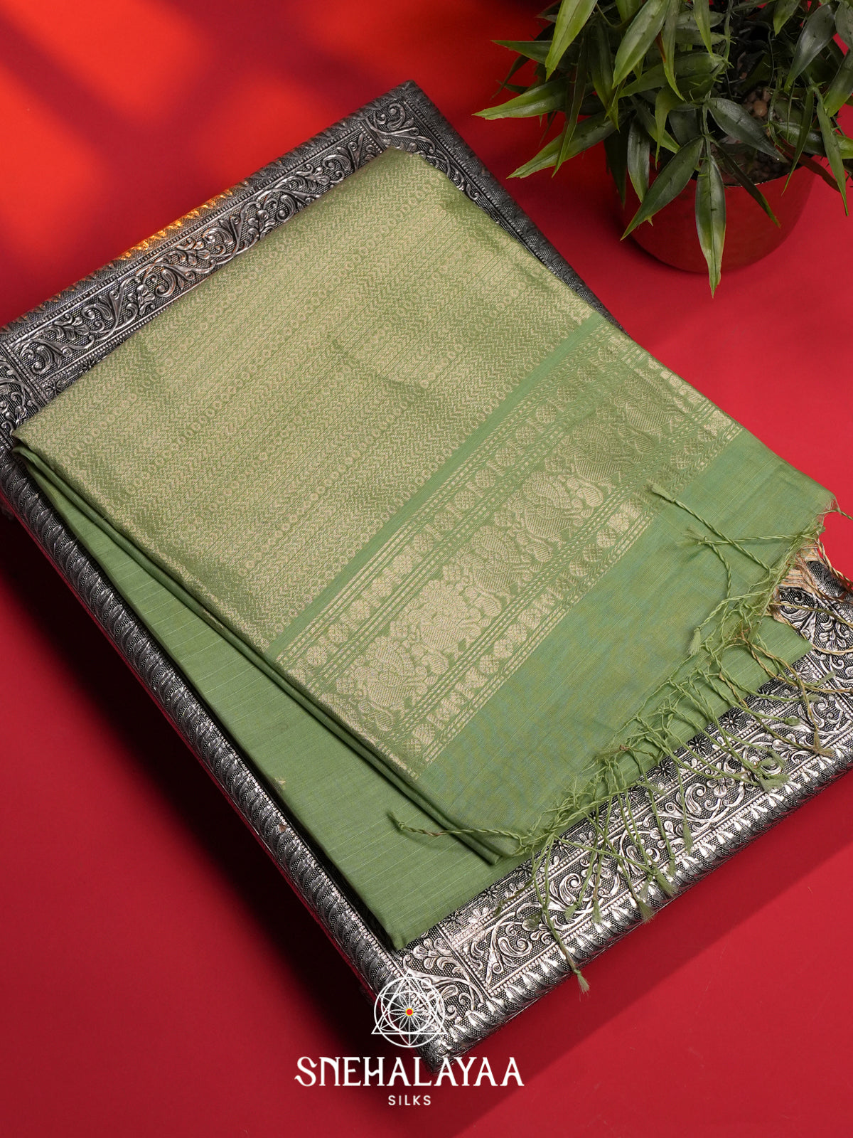 Sage Green Kora Silk Cotton Saree