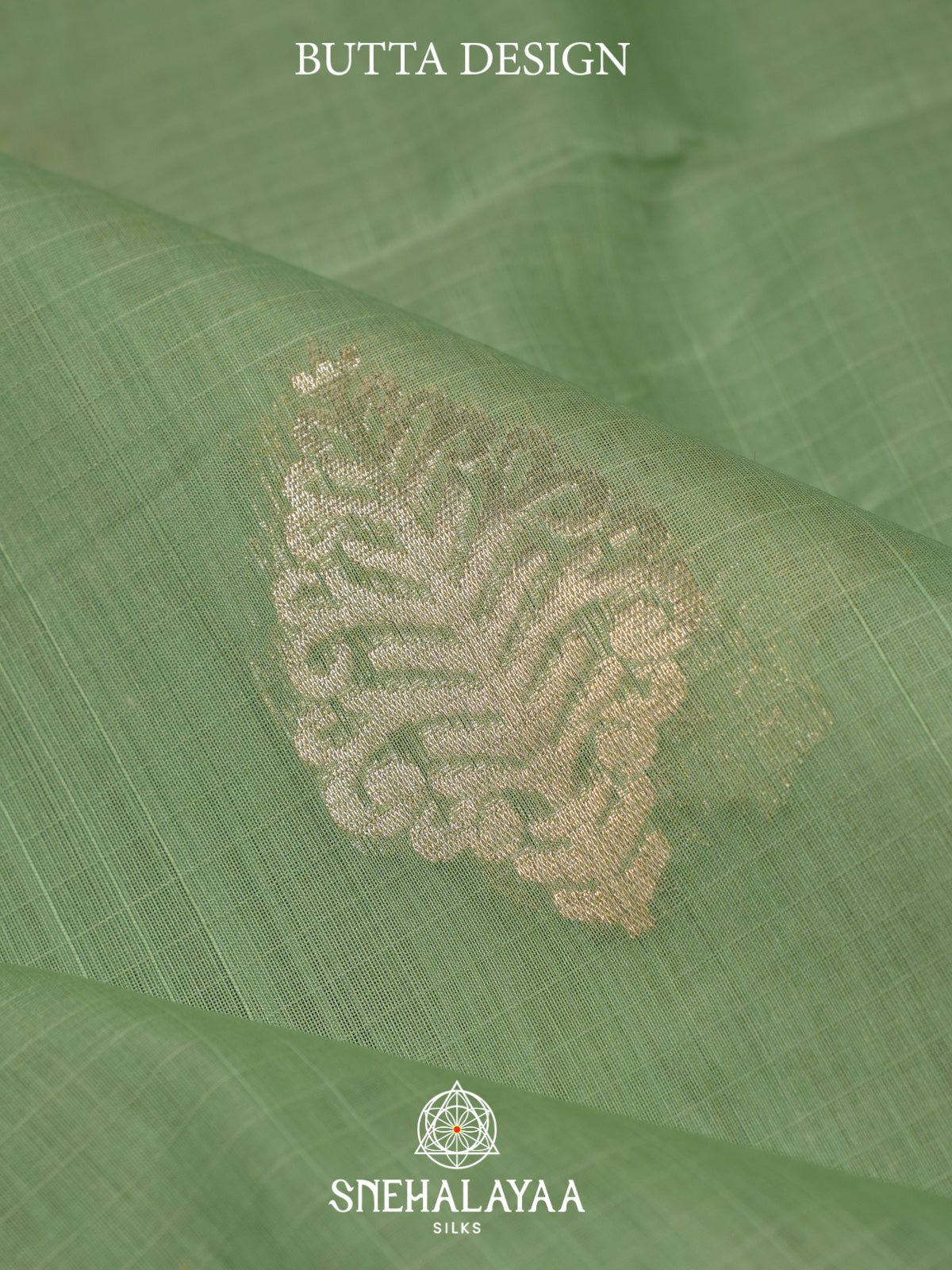 Sage Green Kora Silk Cotton Saree