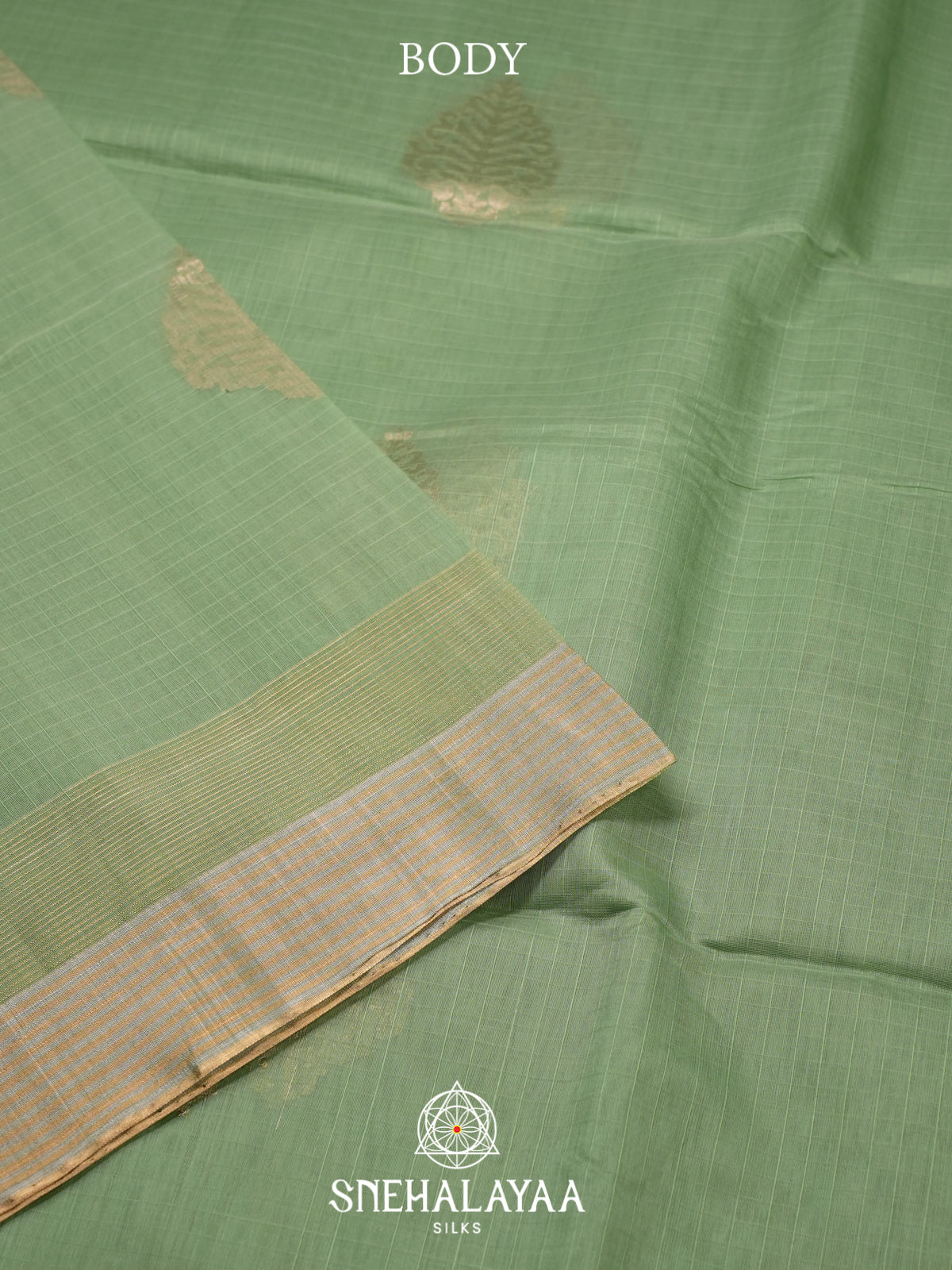 Sage Green Kora Silk Cotton Saree