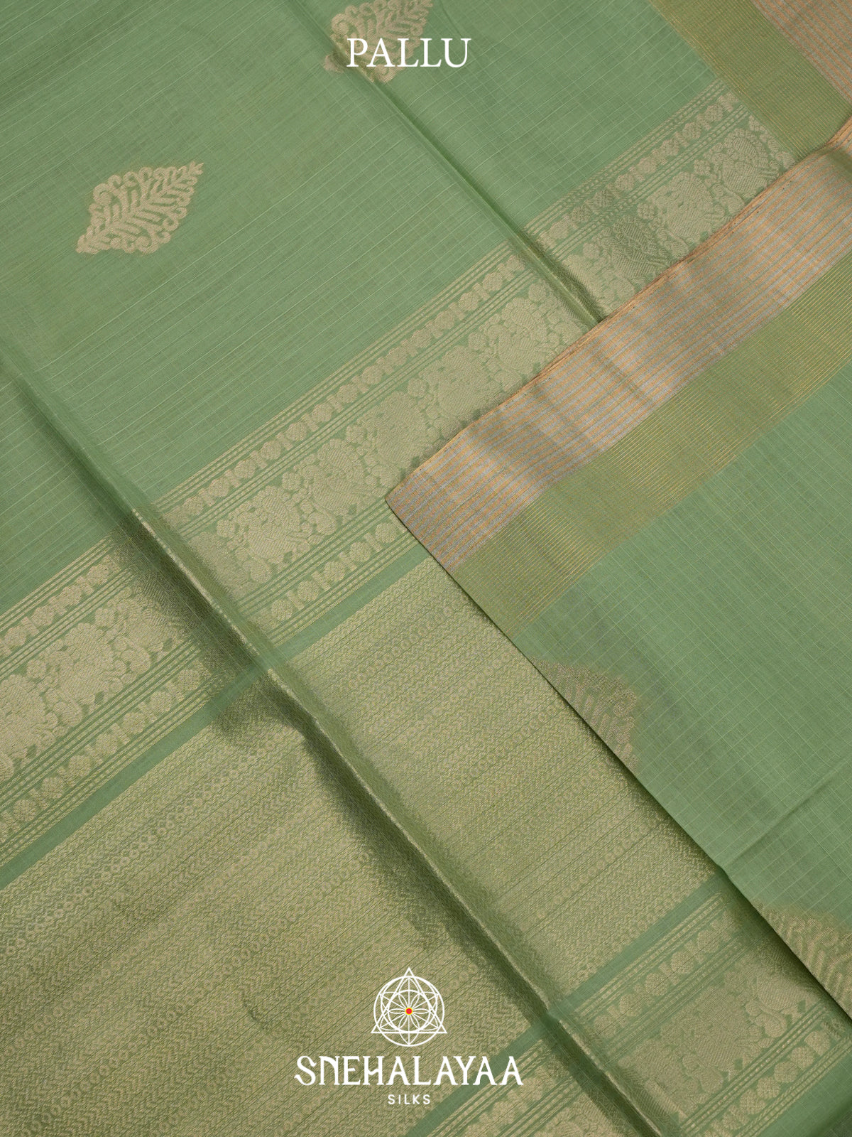 Sage Green Kora Silk Cotton Saree