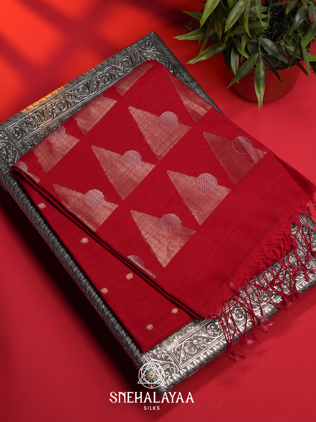 Red Kora Silk Cotton Saree
