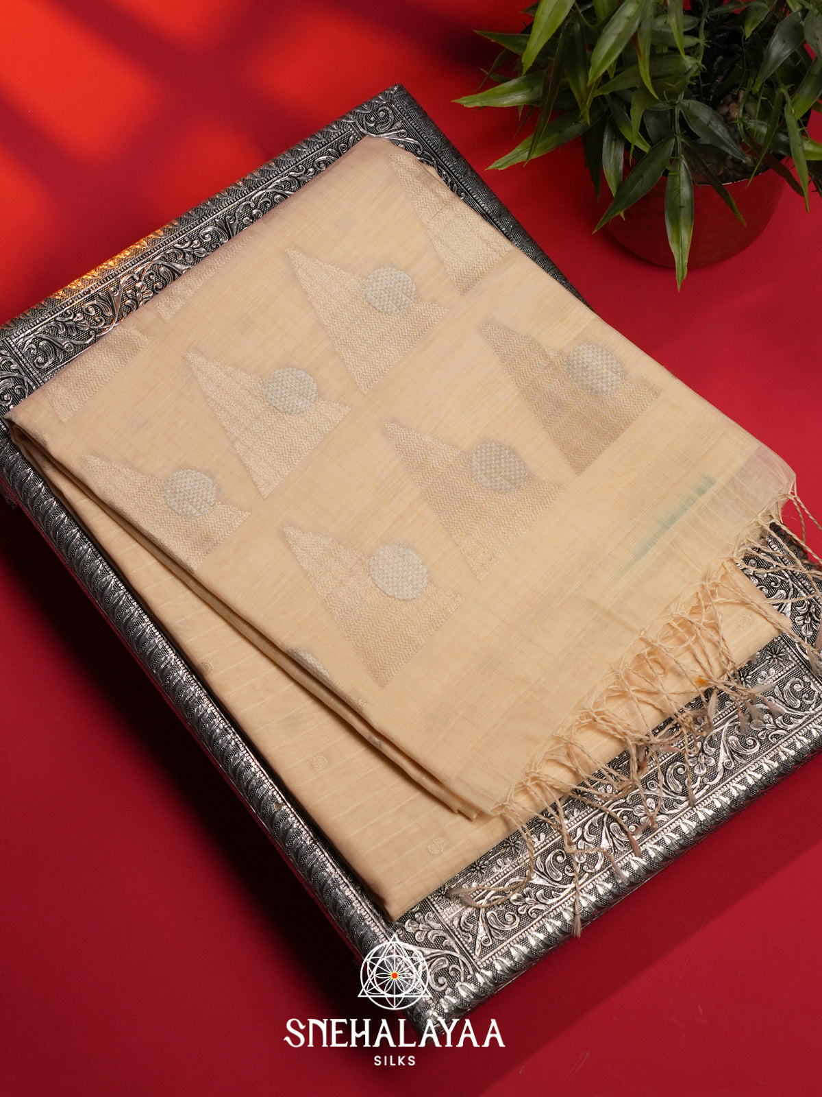 Cream Kora Silk Cotton Saree