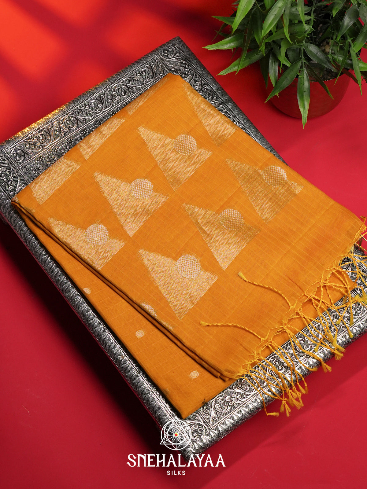 Mustard Kora Silk Cotton Saree