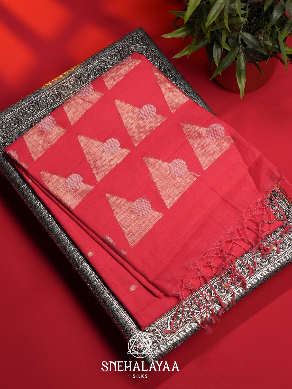 Pink Kora Silk Cotton Saree