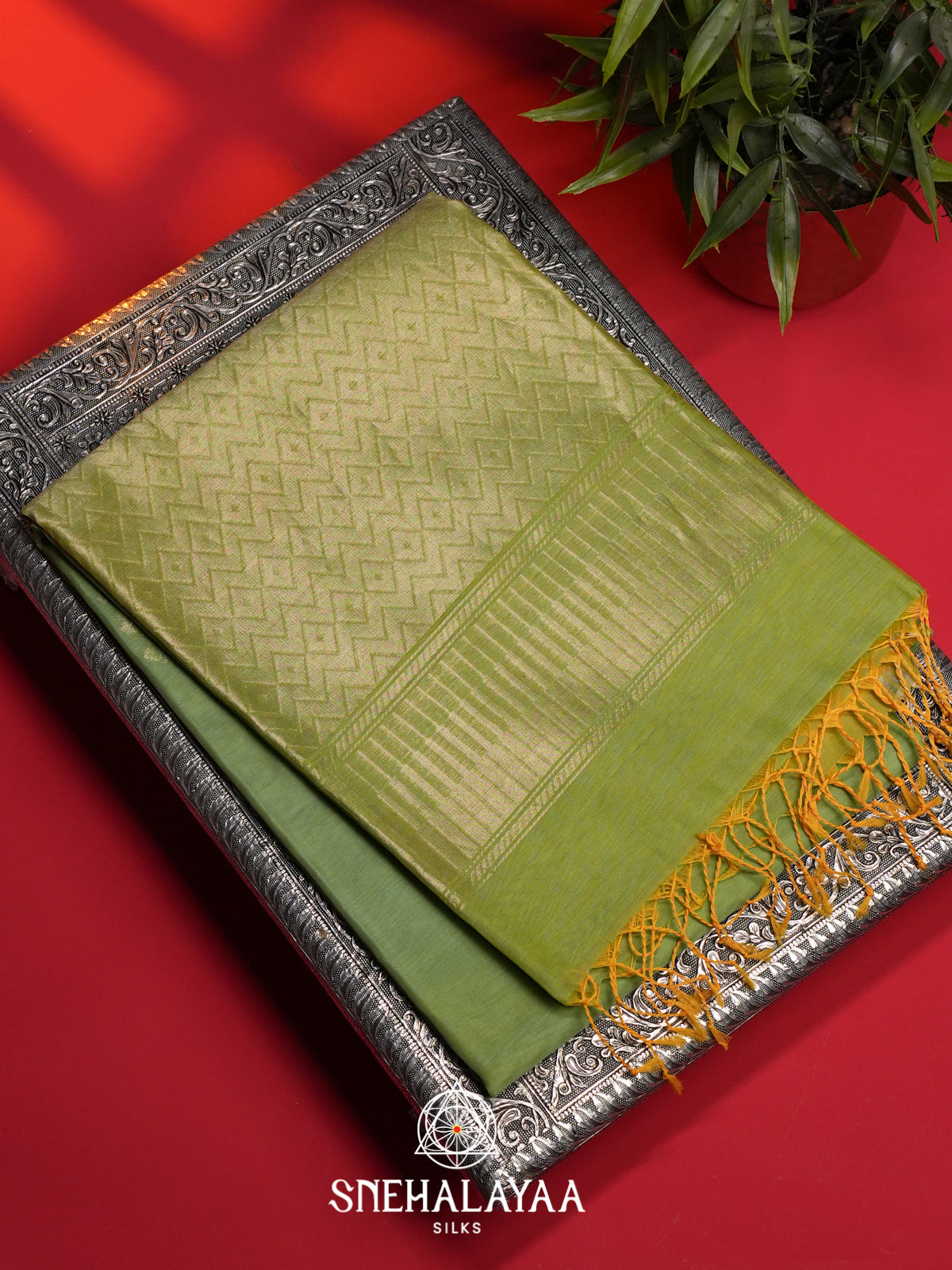 Sage Green Kora Silk Cotton Saree