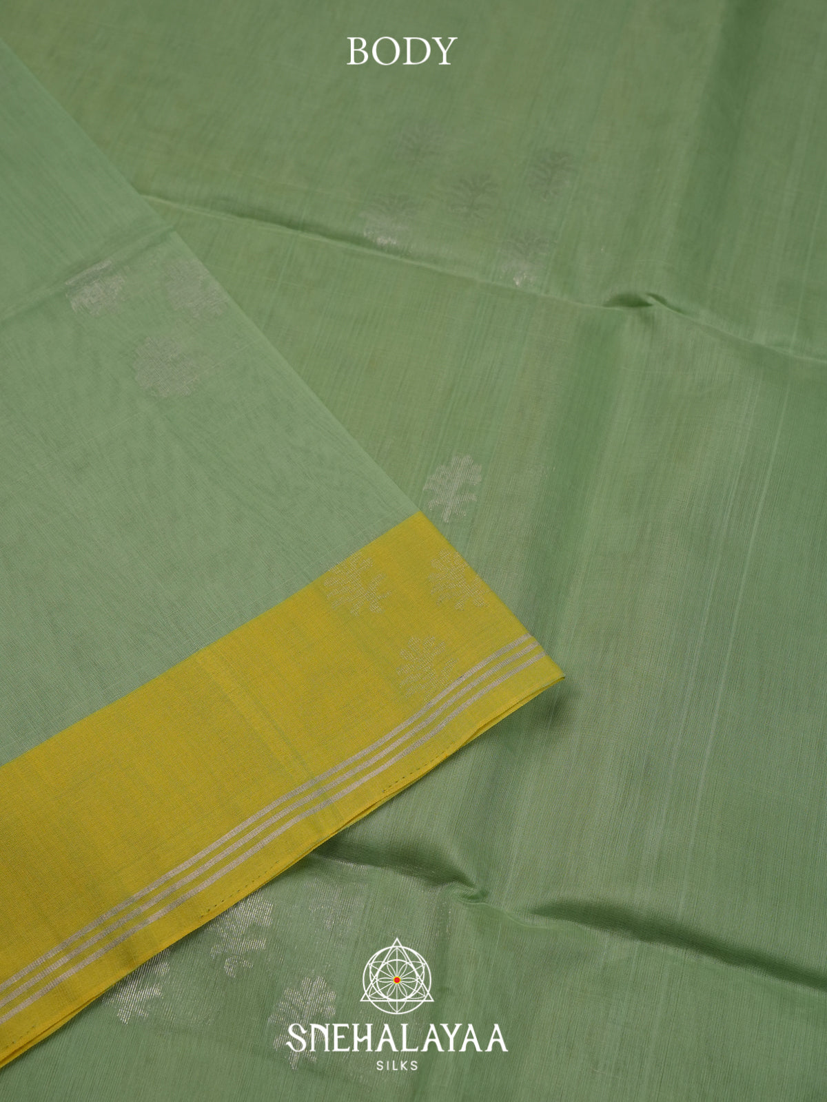Sage Green Kora Silk Cotton Saree