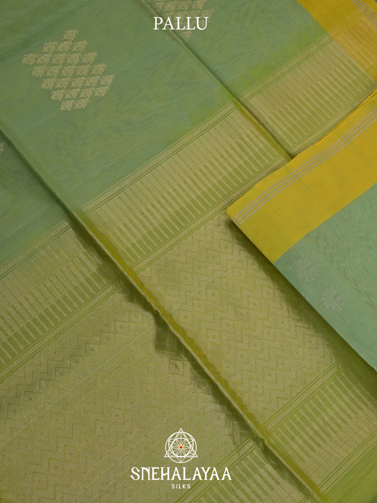 Sage Green Kora Silk Cotton Saree