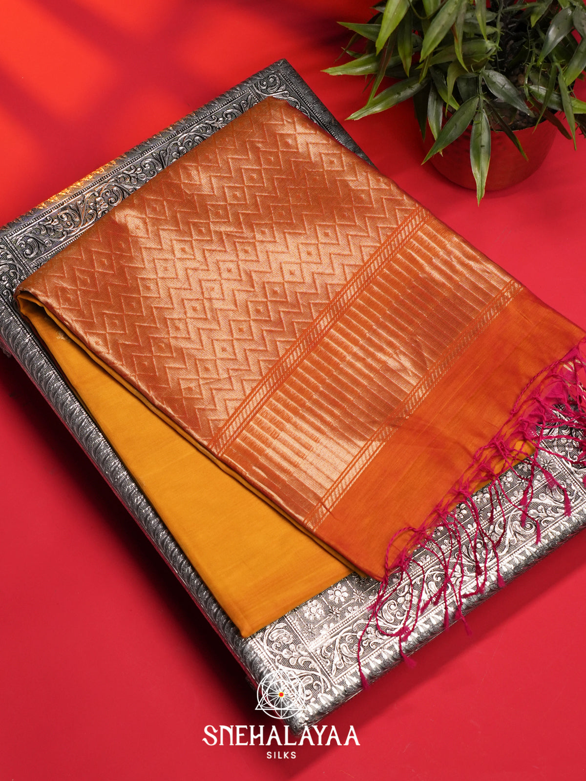 Mustard Kora Silk Cotton Saree
