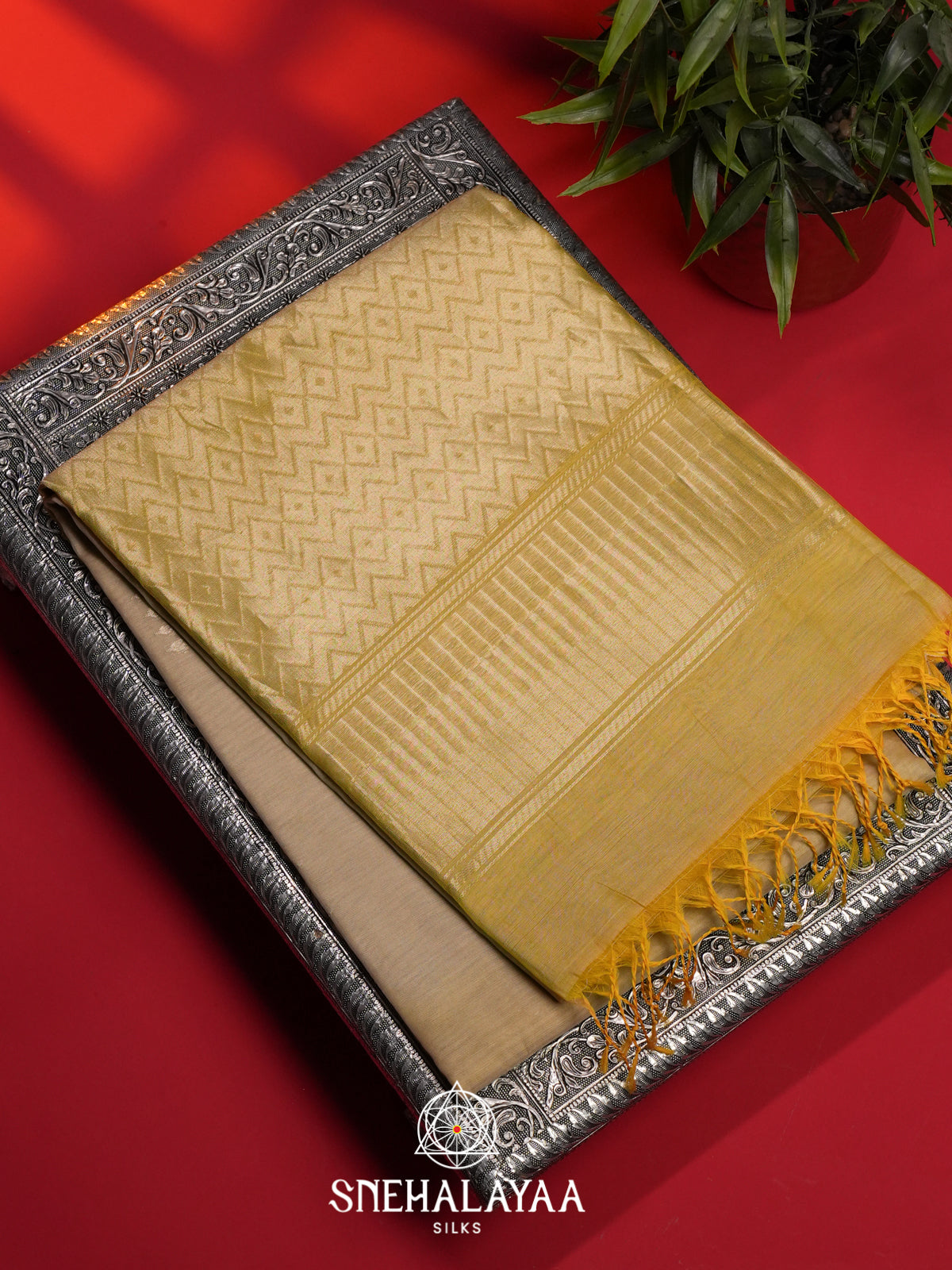 Beige Kora Silk Cotton Saree