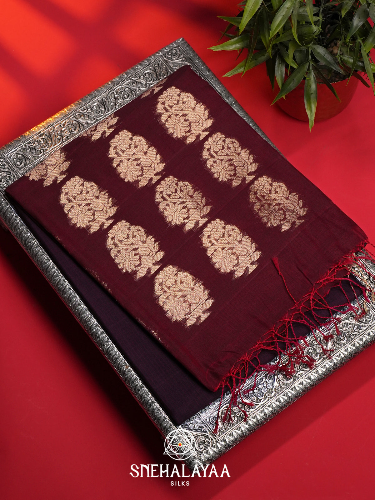 Burgundy Kora Silk Cotton Saree