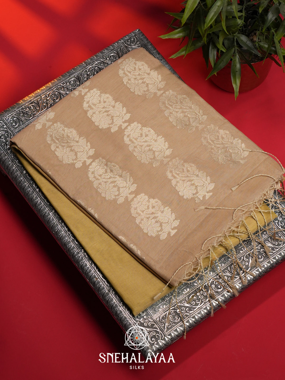 Pale Yellow Kora Silk Cotton Saree