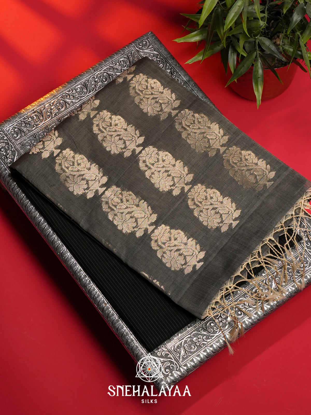 Black Kora Silk Cotton Saree