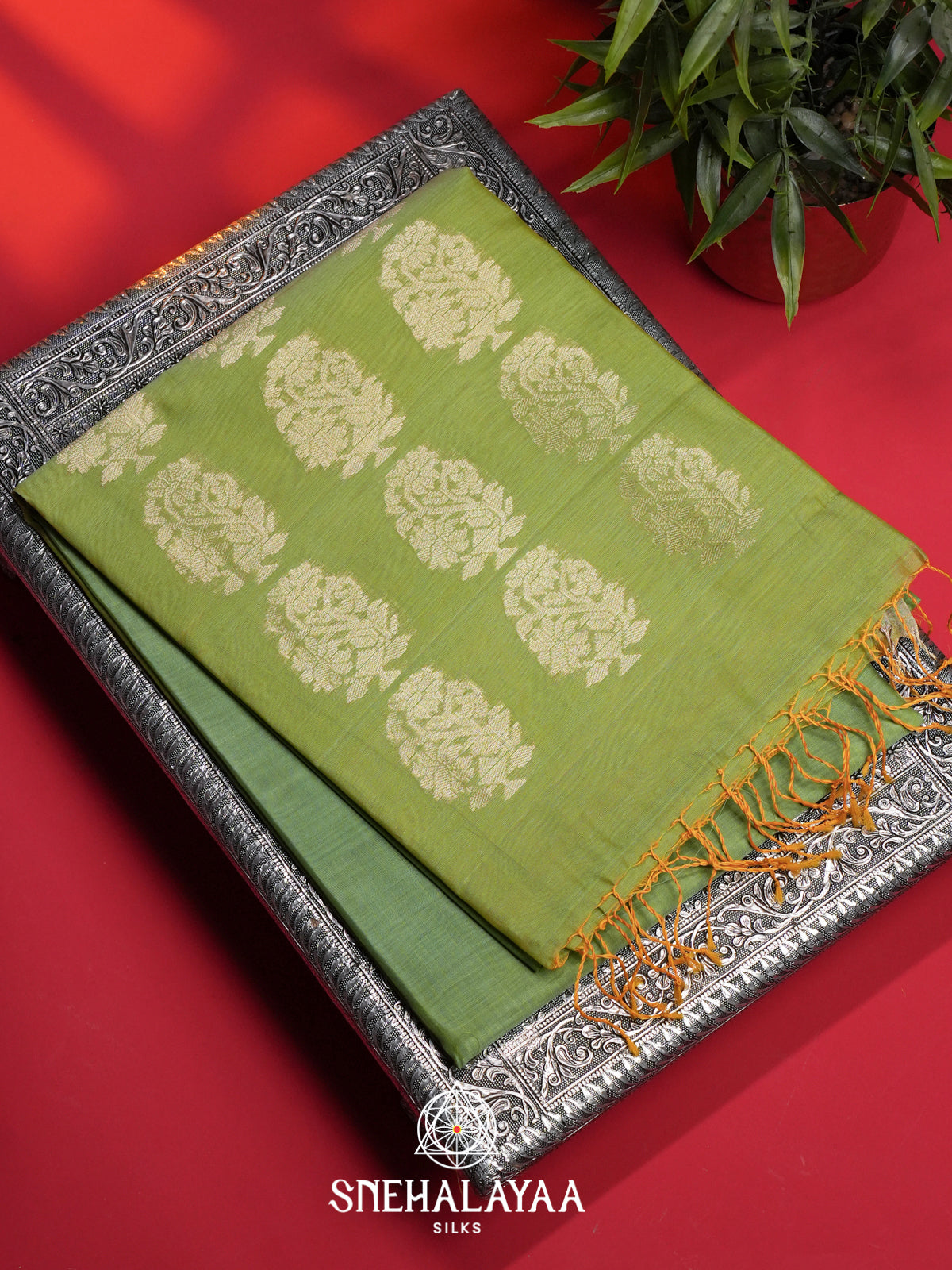 Pista Green  Kora Silk Cotton Saree