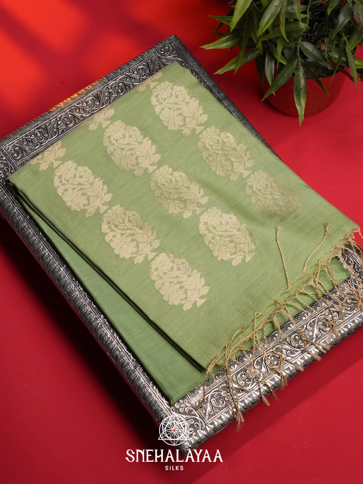 Mint Kora Silk Cotton Saree