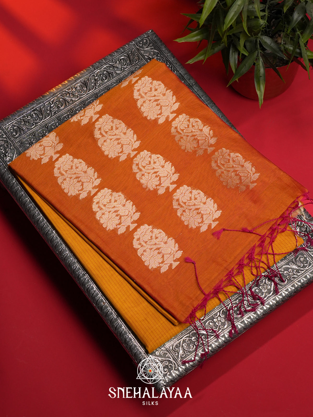 Mustard Kora Silk Cotton Saree