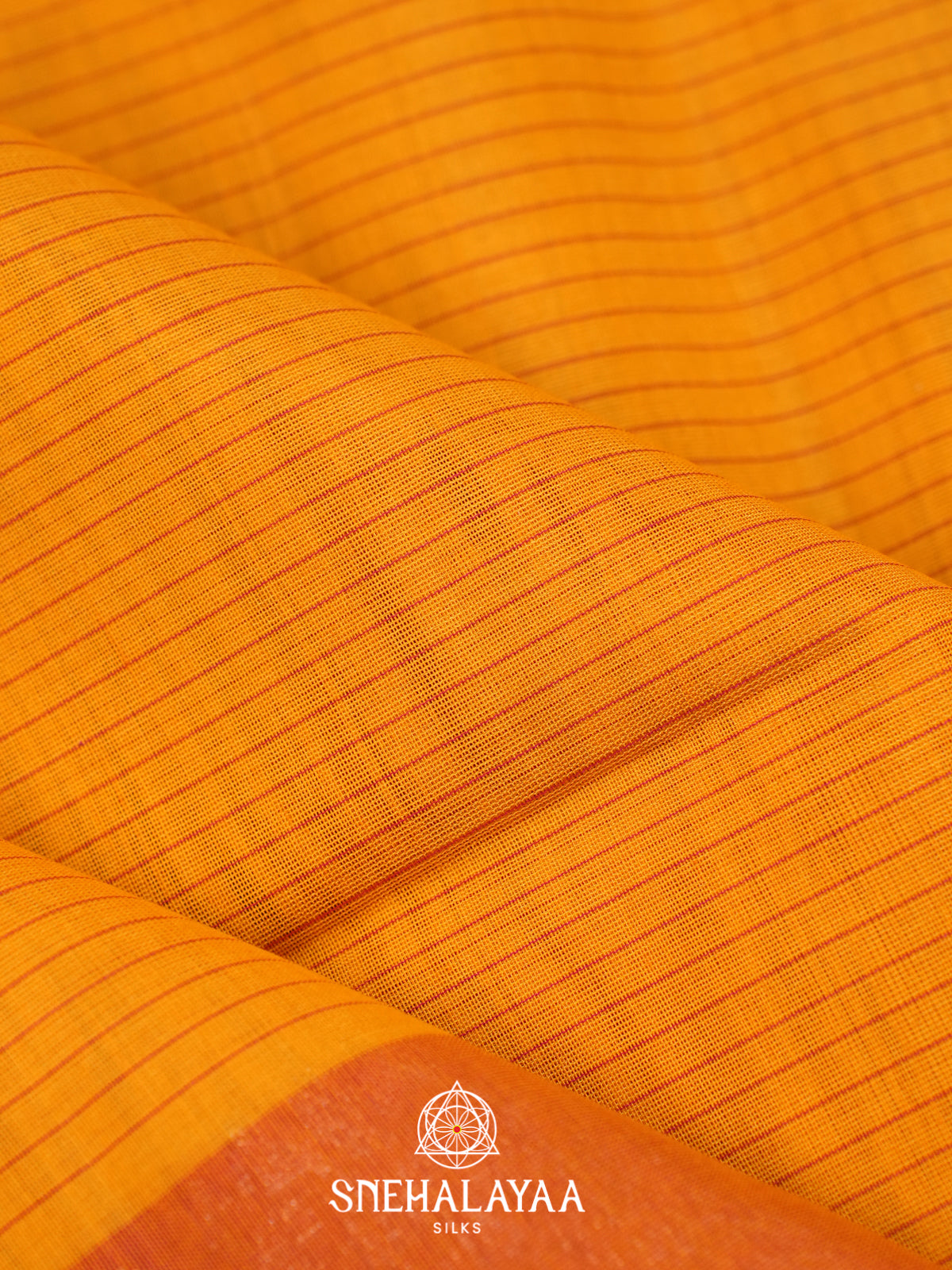 Mustard Kora Silk Cotton Saree