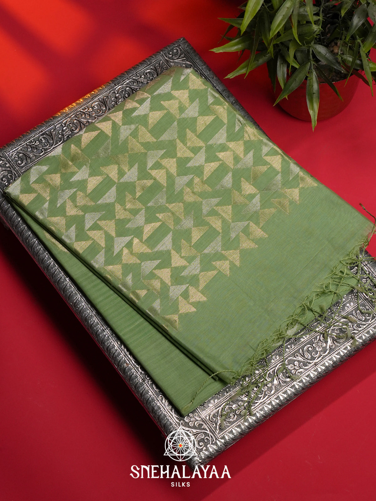 Sage Green Kora Silk Cotton Saree