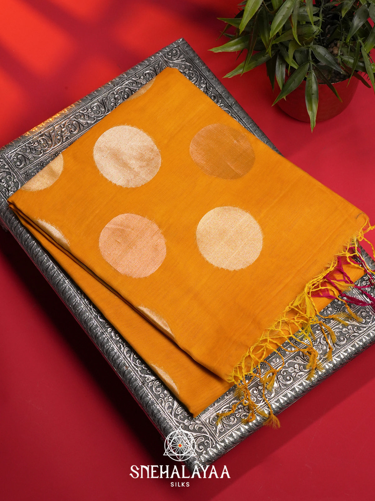 Mustard Kora Silk Cotton Saree