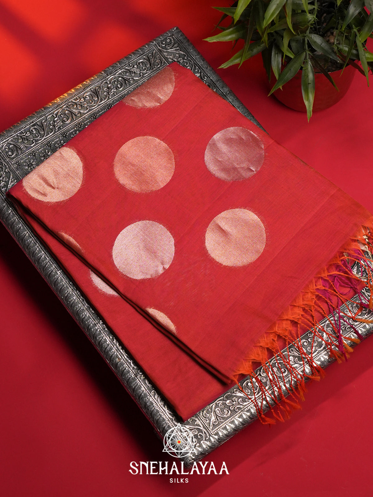 Red Kora Silk Cotton Saree
