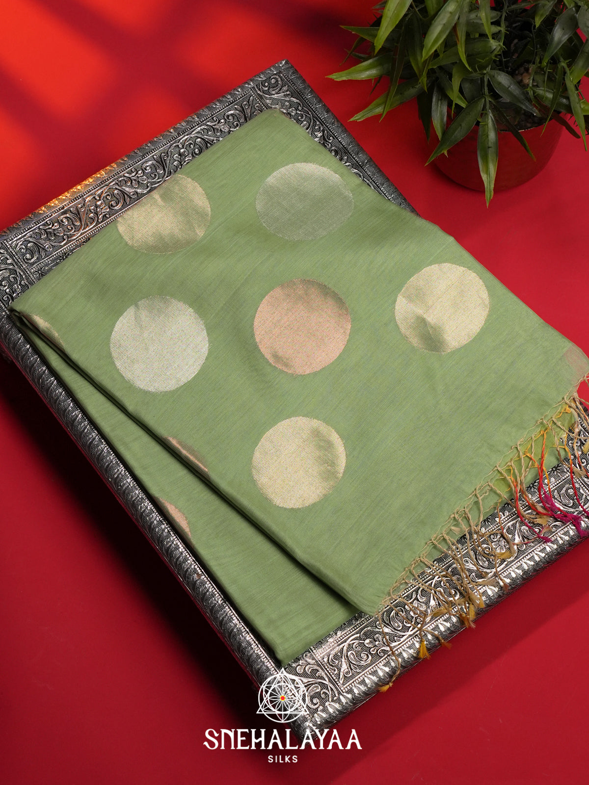 Sage Green Kora Silk Cotton Saree
