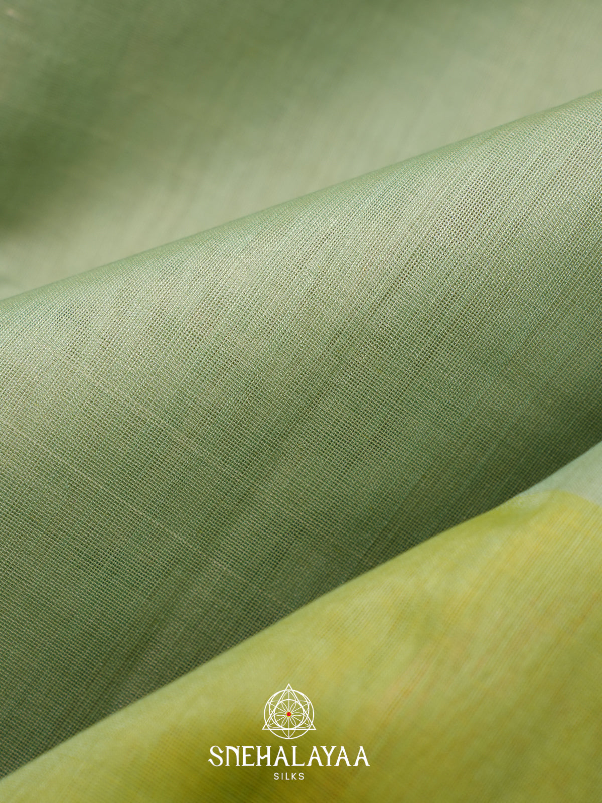 Sage Green Kora Silk Cotton Saree