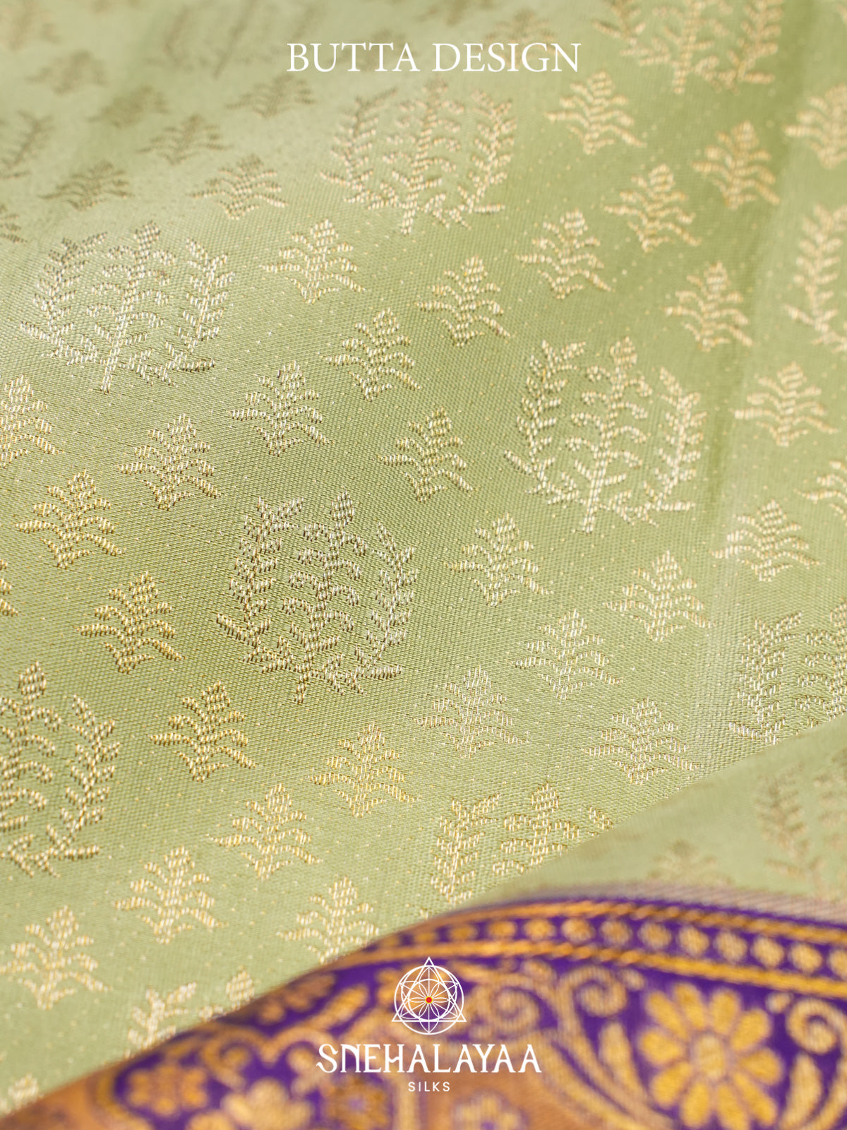 Pista Green Kanjivaram Silk Saree