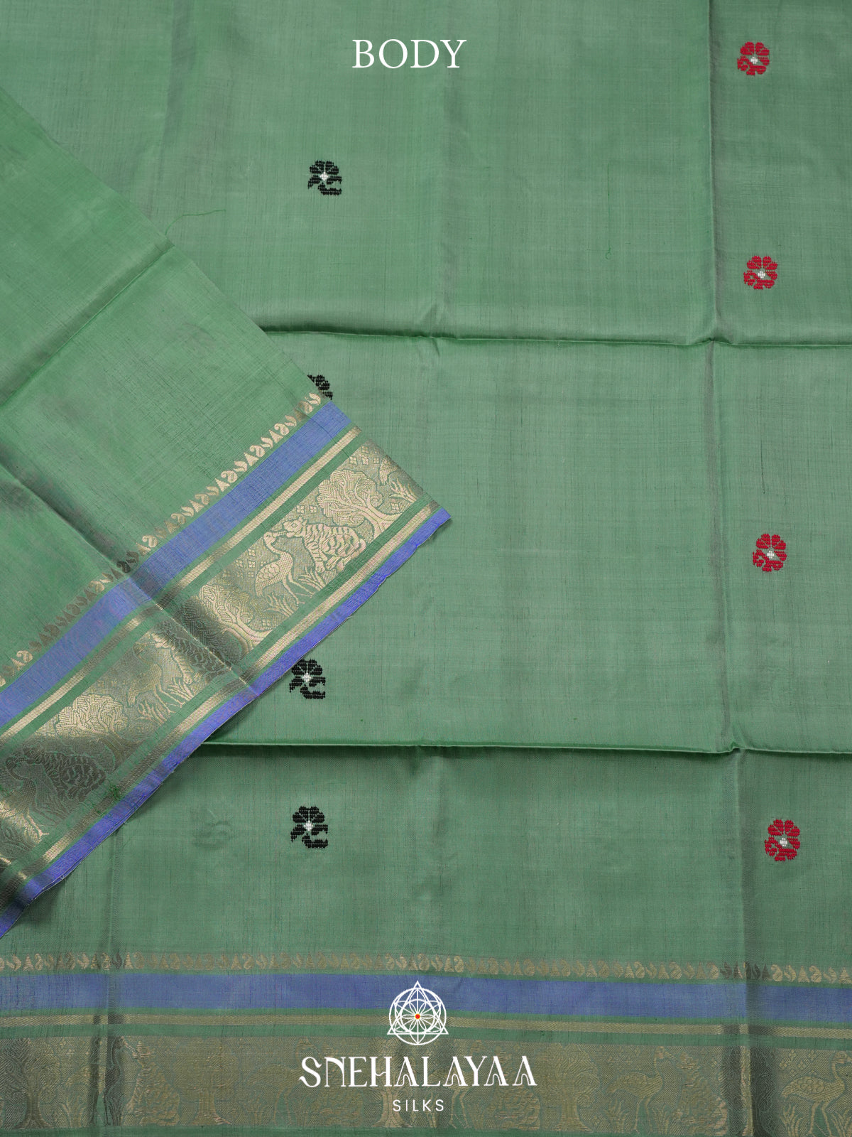 Pale Green Behrampuri Silk Saree