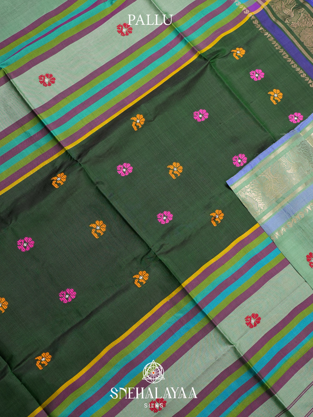 Pale Green Behrampuri Silk Saree