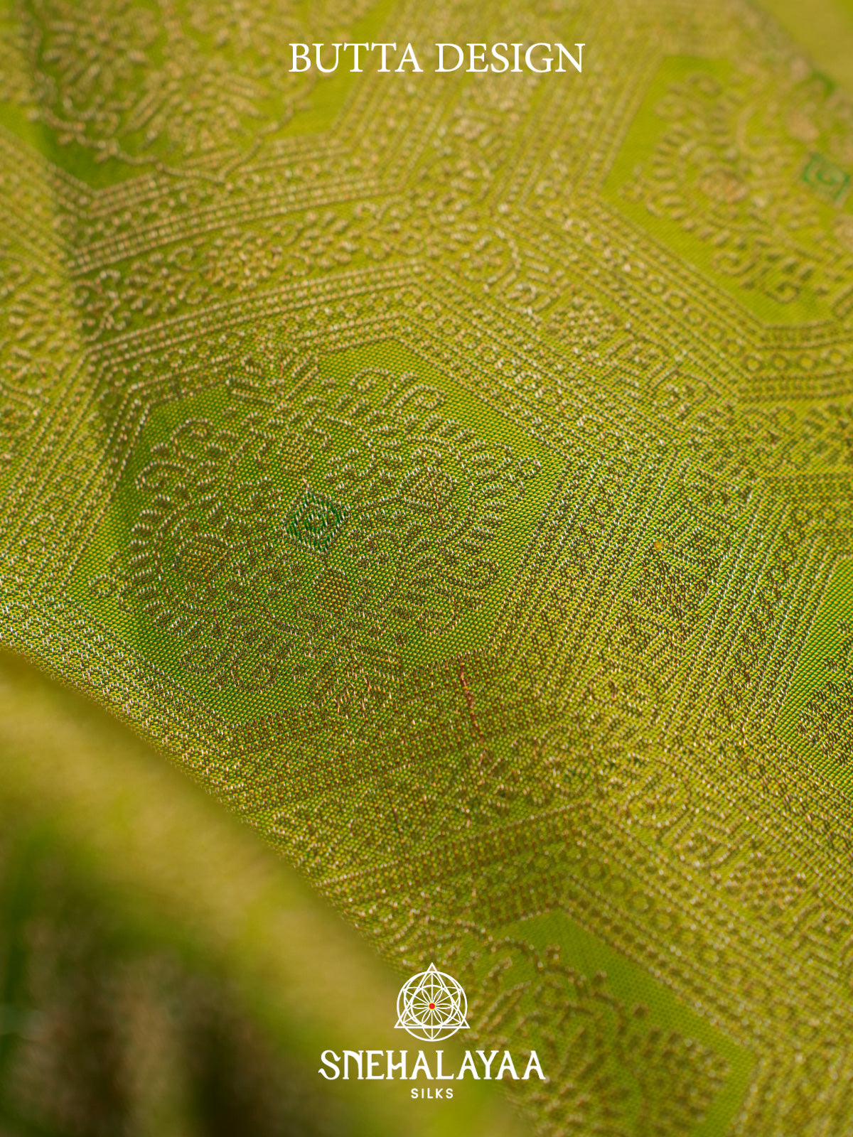 Lime Green Kanjivaram Silk Saree