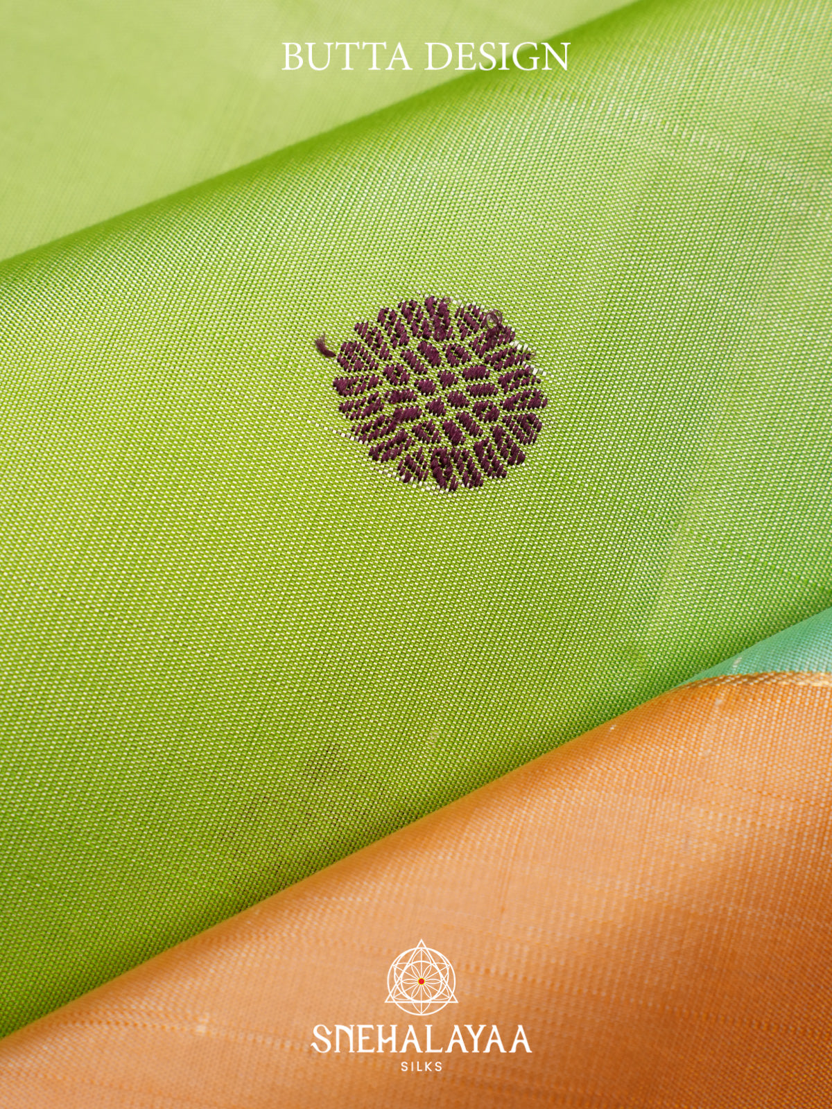 Multicolour Kanjivaram Silk Saree
