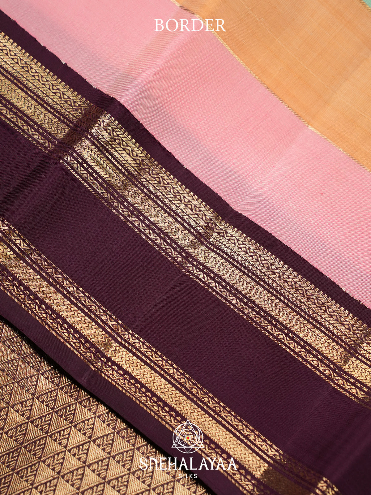 Multicolour Kanjivaram Silk Saree