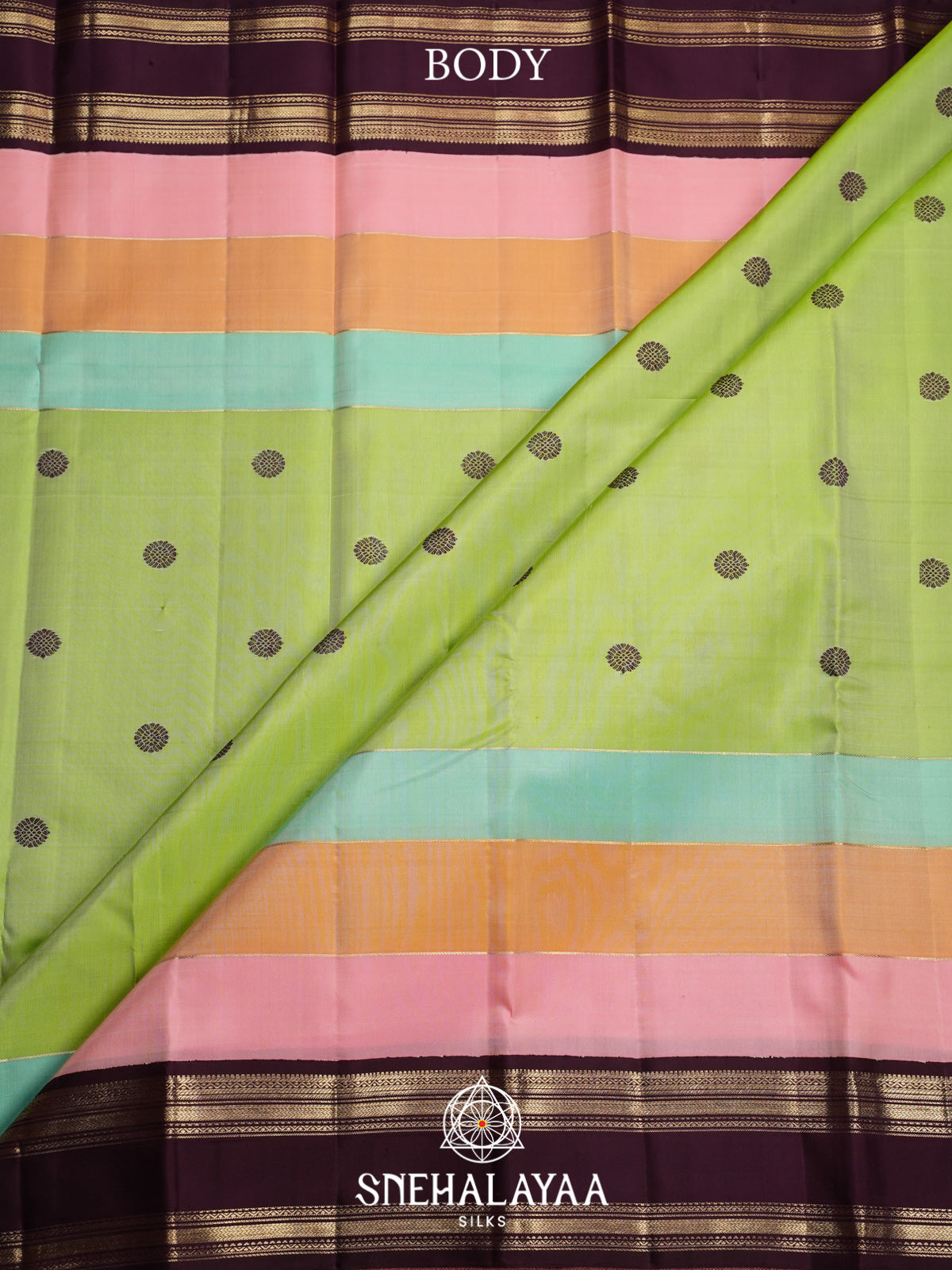 Multicolour Kanjivaram Silk Saree