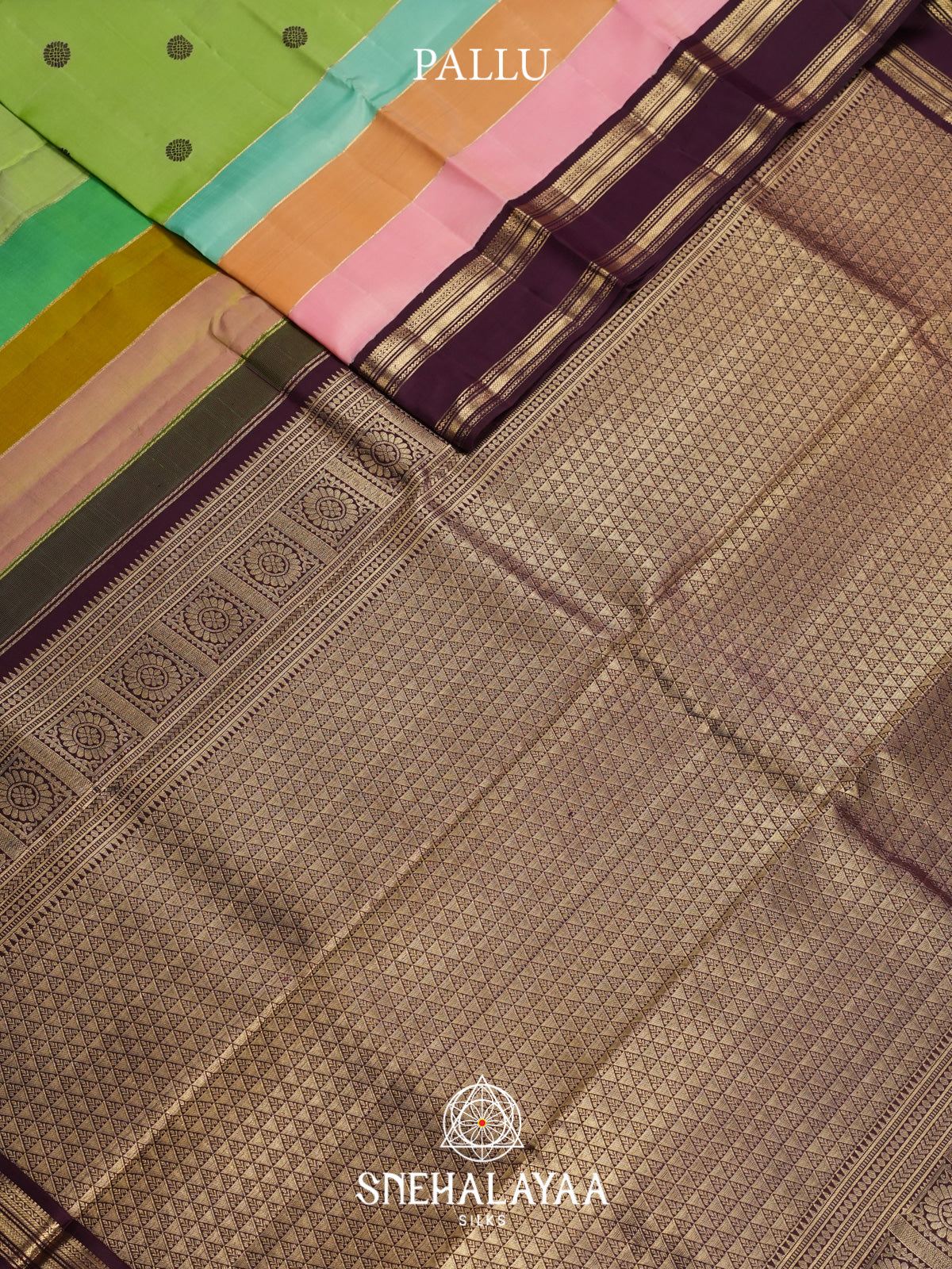 Multicolour Kanjivaram Silk Saree