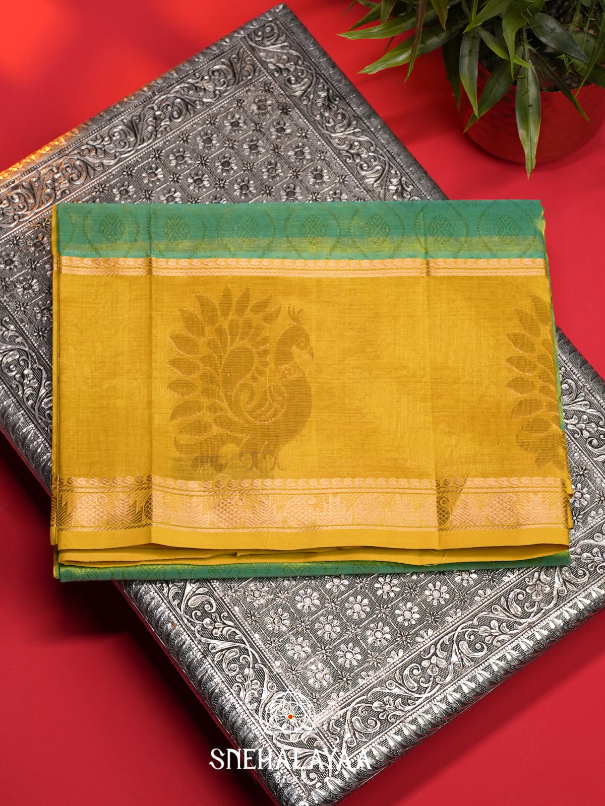 Sage Green Mangalagiri Silk Cotton Saree