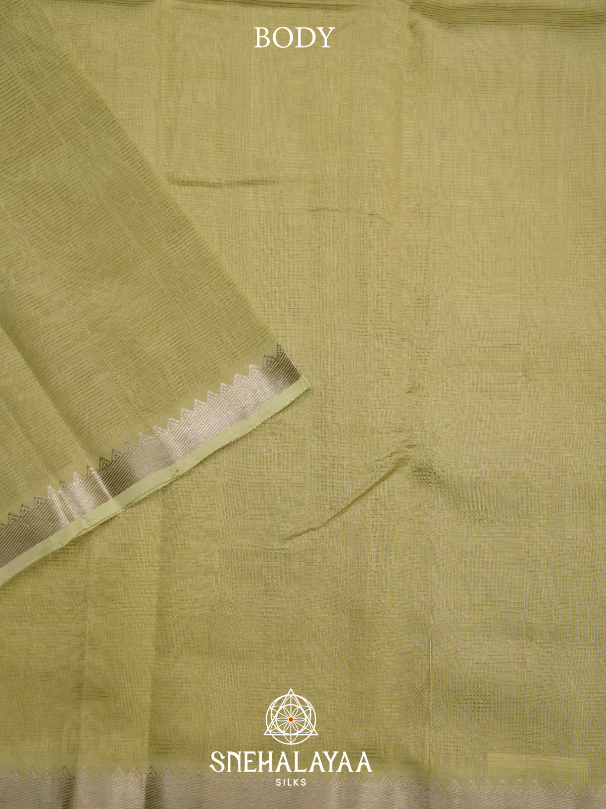 Pale Avocado Mangalagiri Silk Cotton Saree