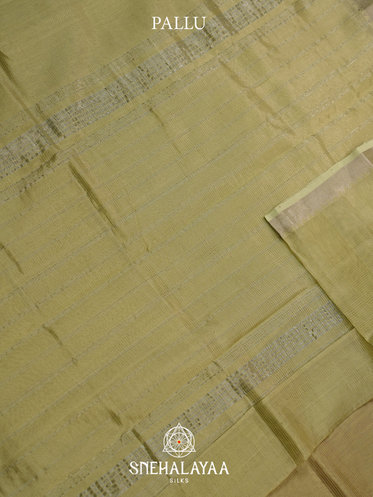 Pale Avocado Mangalagiri Silk Cotton Saree
