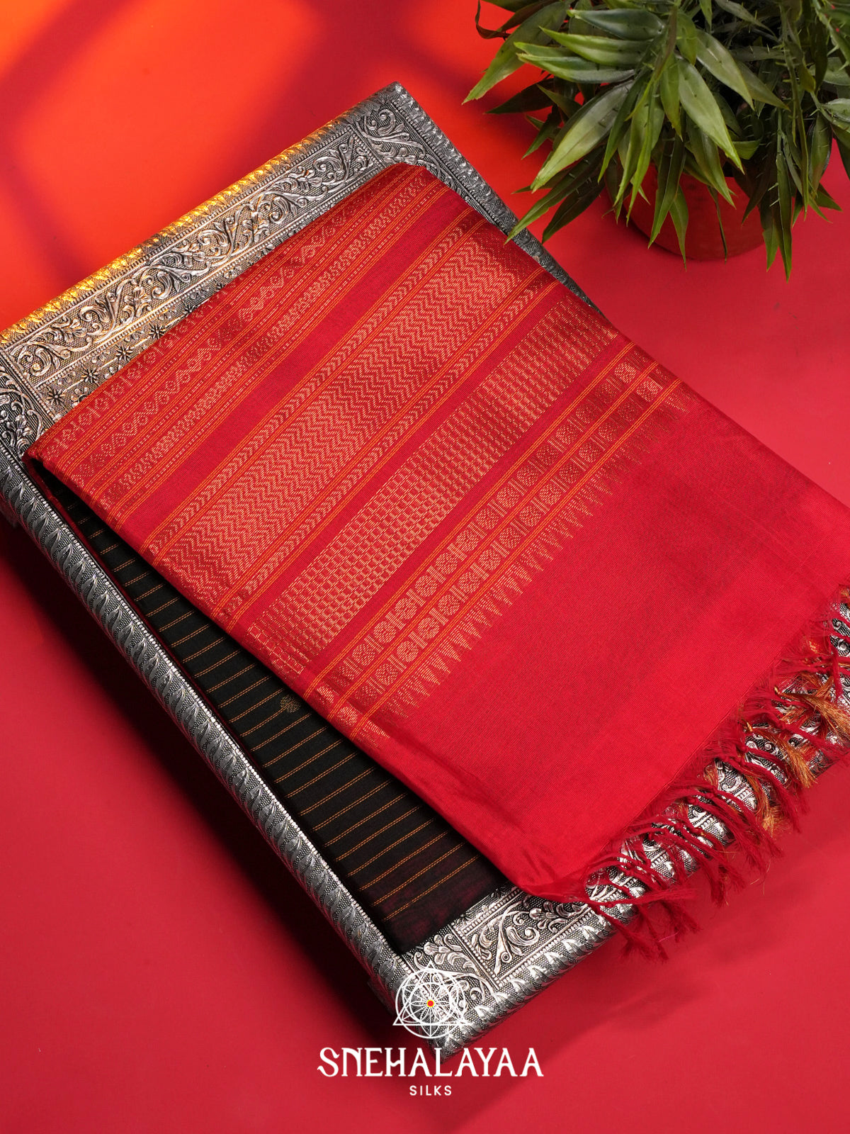 Black Kuppadam Silk Cotton Saree